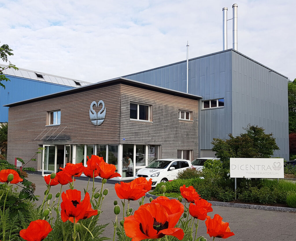 Dicentra Tierkrematorium