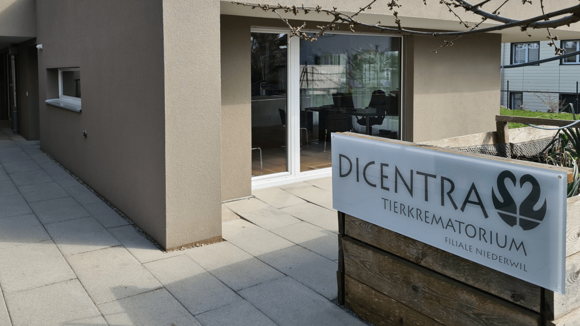 Niederwil 3 Dicentra Niederwil