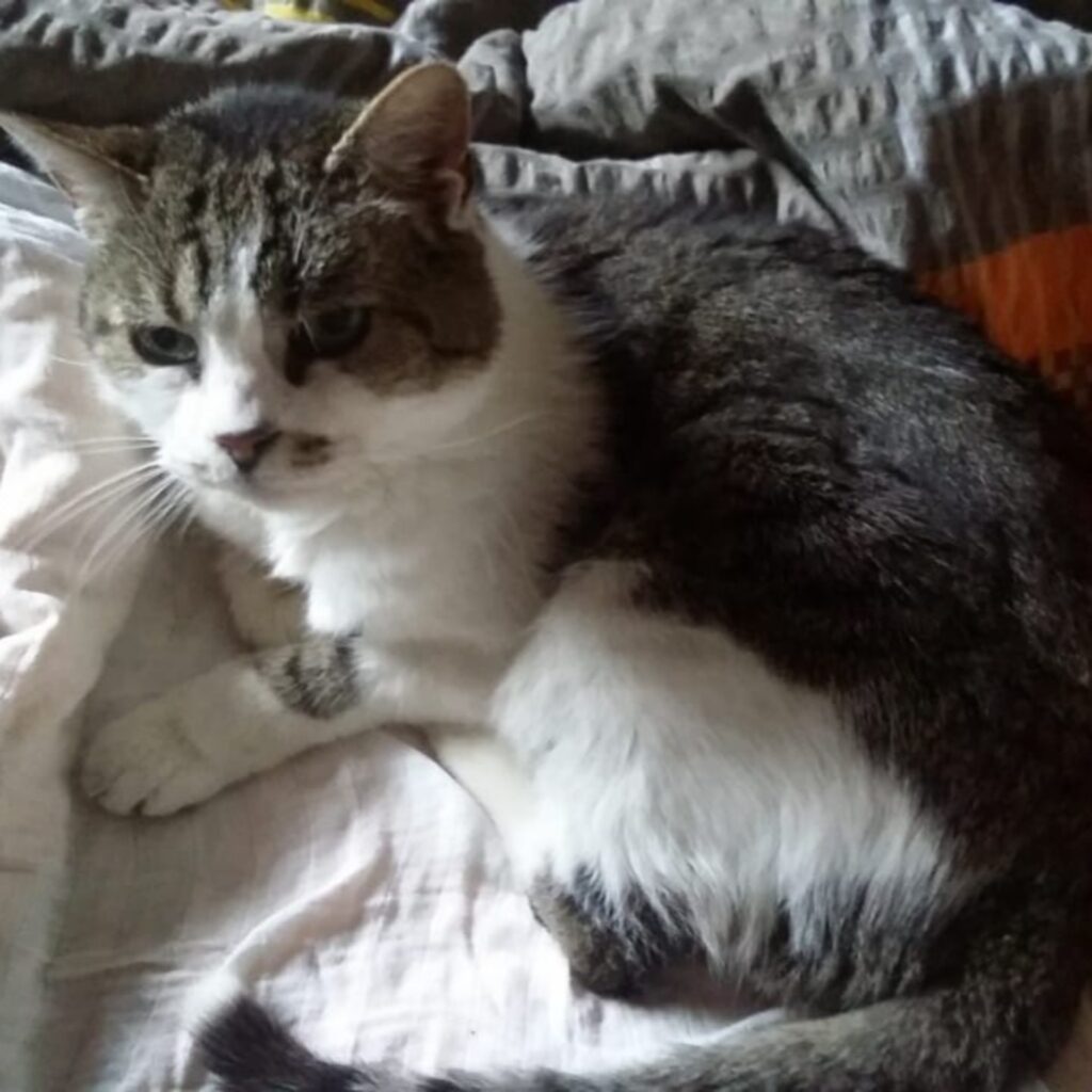 06.06.2021 IMG 20210604 WA0004