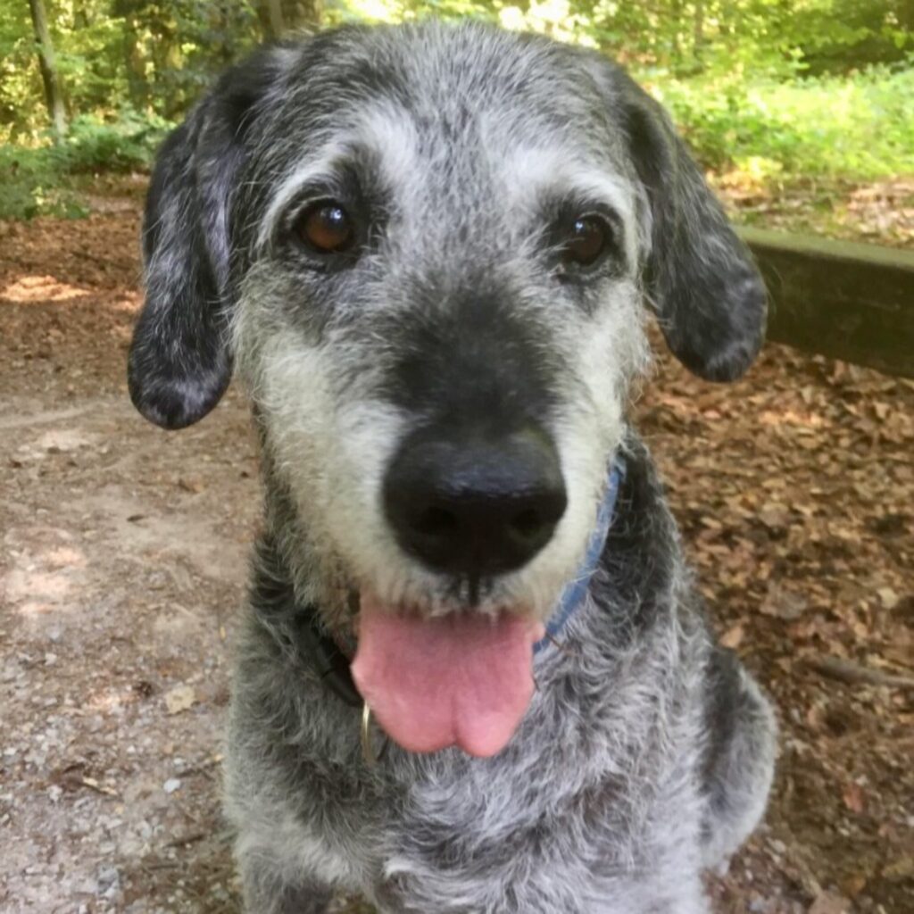 0AAC0CB7 74D6 4DD8 8C51 B8ED7F51DC00