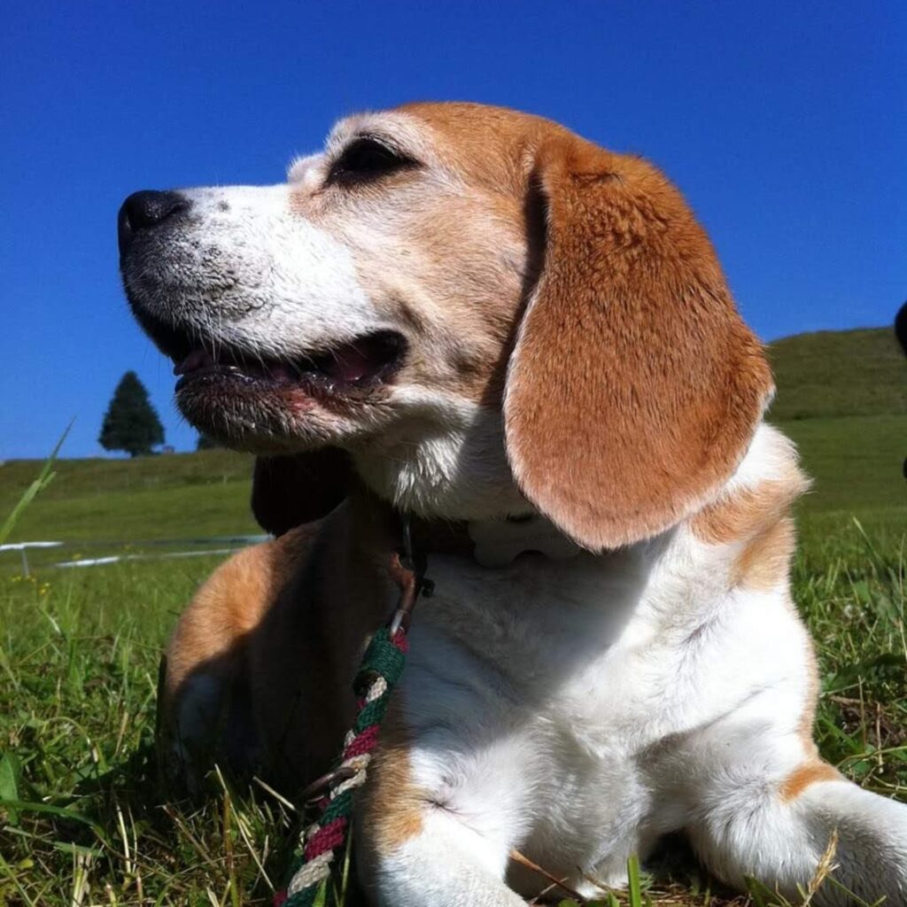 0ABC9E73 5989 4D43 8CCB 69DD9DCF57E5