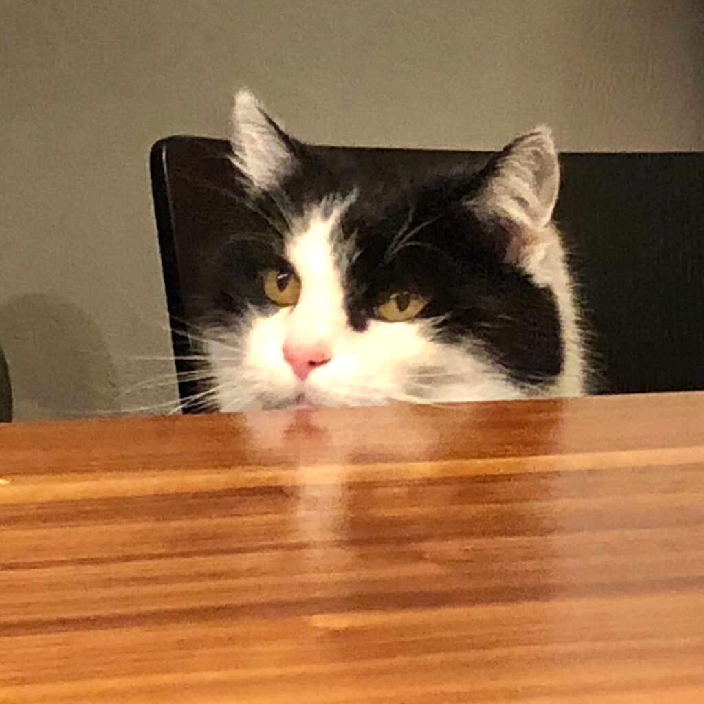 10E809D4 27B7 43B2 B300 ED70B3AD68BF