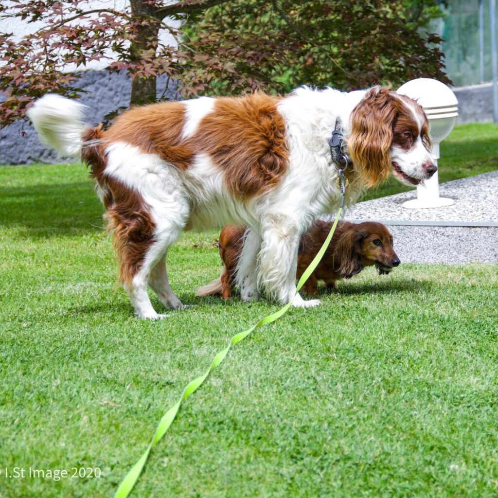 16CC8A72 DCD1 4330 94A5 B66A0DAA5A90