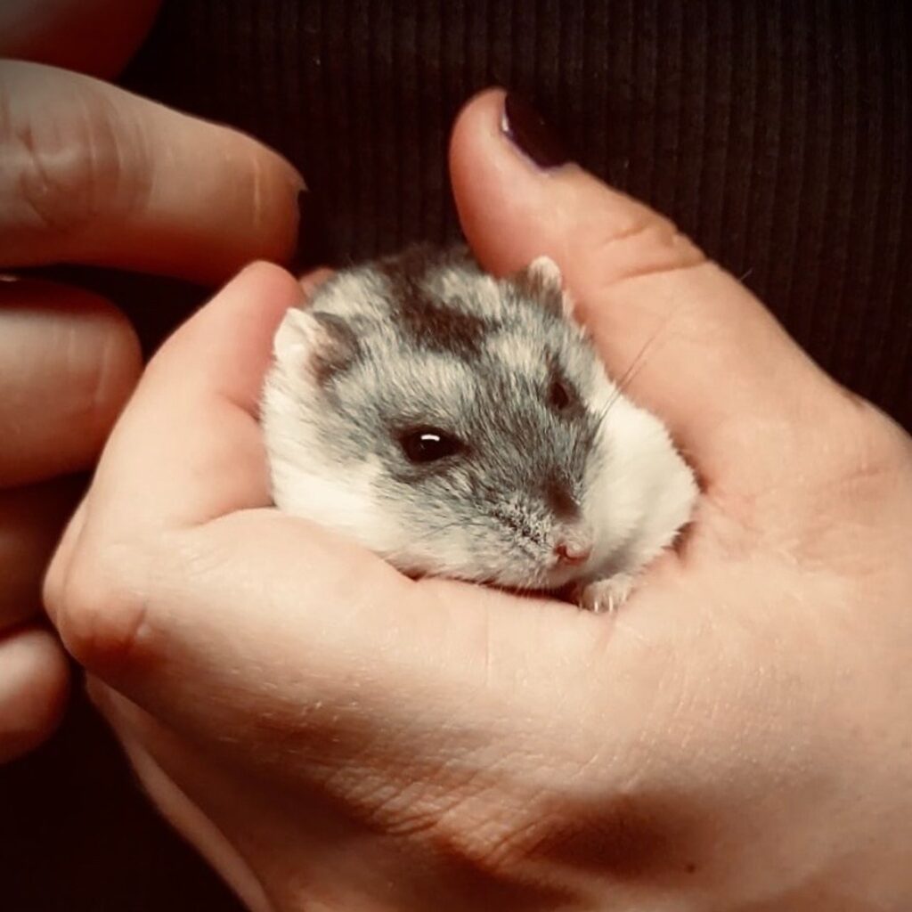 1989862f 536e 487f b987 5818efd8f665