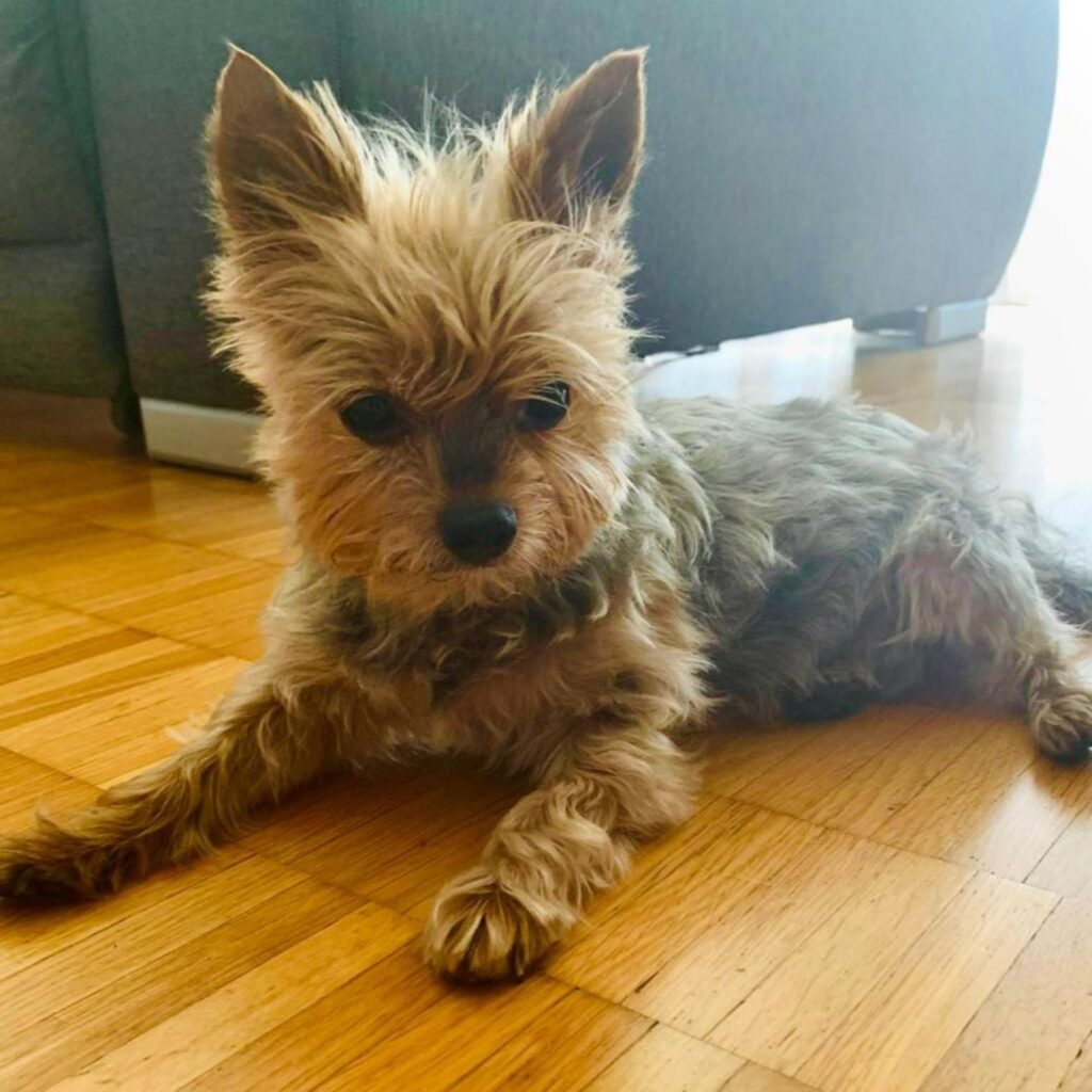 1B37B446 B738 40A0 A3B4 4F81E49B9FE1