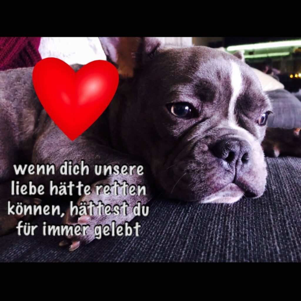 1DF50113 C55B 4898 A20E D9F205D3A04A