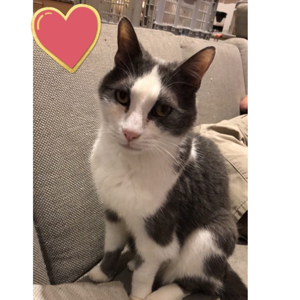 227F23F8 E8DC 422B 8386 A4EBACEBE47A