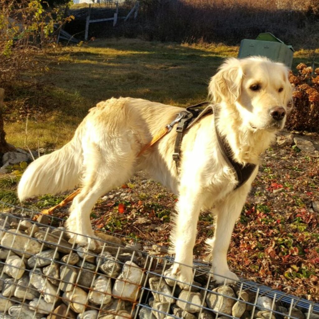 25B69F8F 9F35 4804 96D5 50B1A0835963