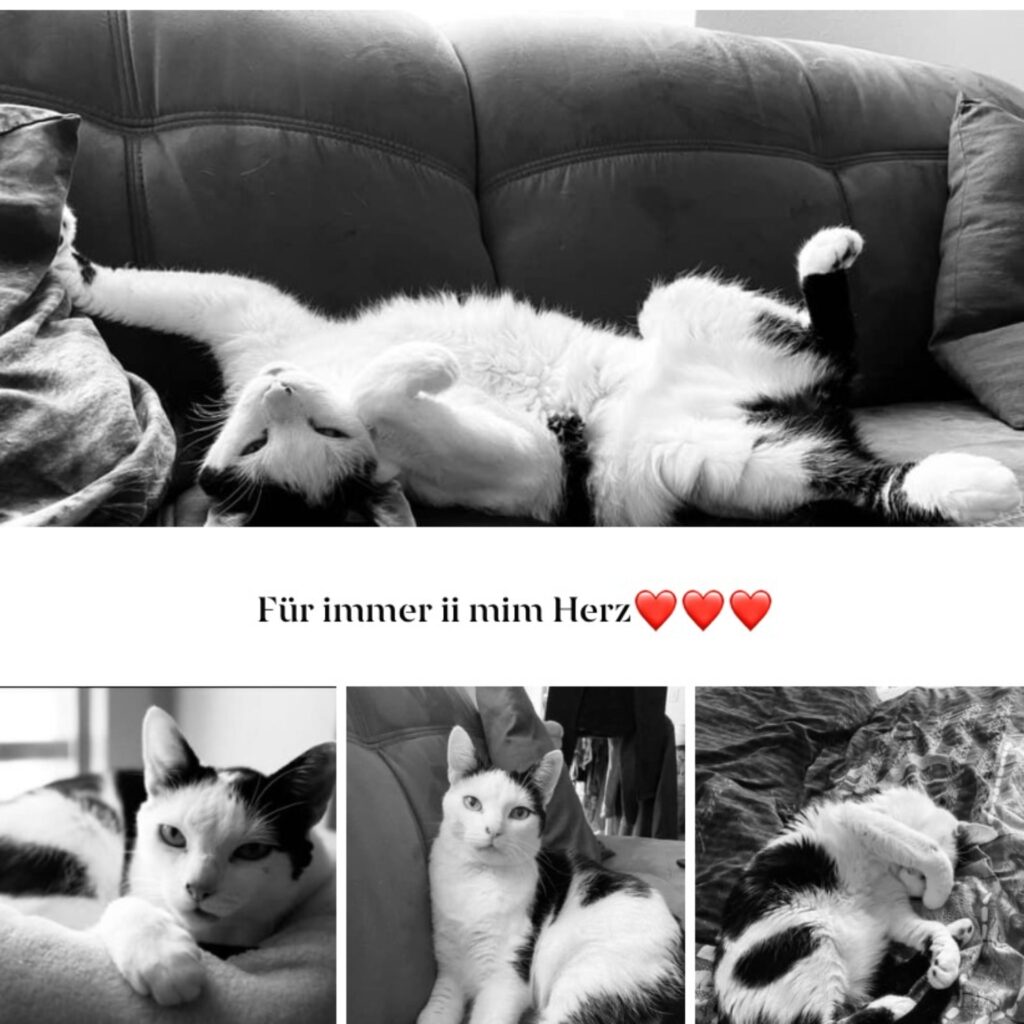 298ED3A9 50DF 4400 8004 9E384F4C0E37