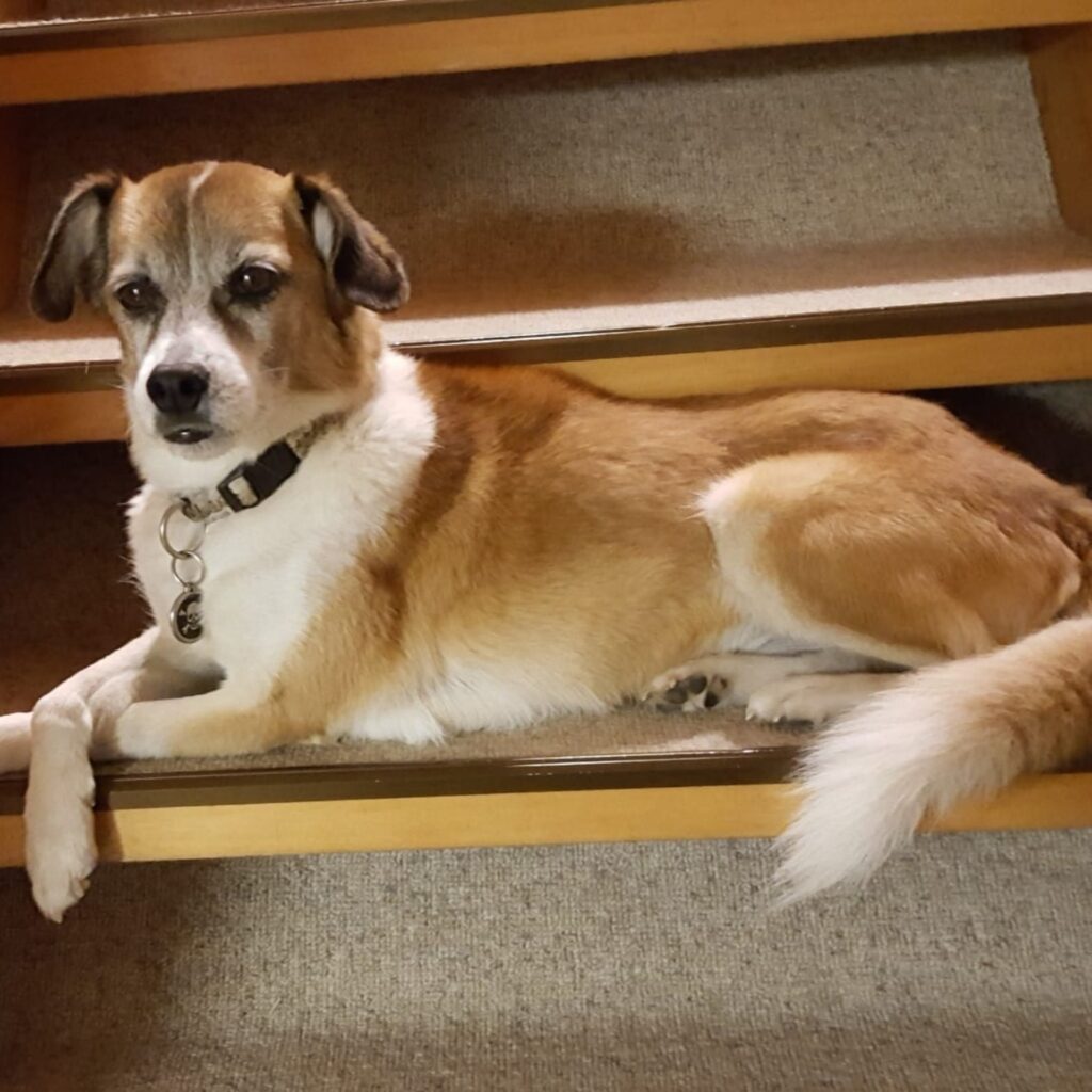 31C1F683 694B 4DC6 8858 0D25DE474A84