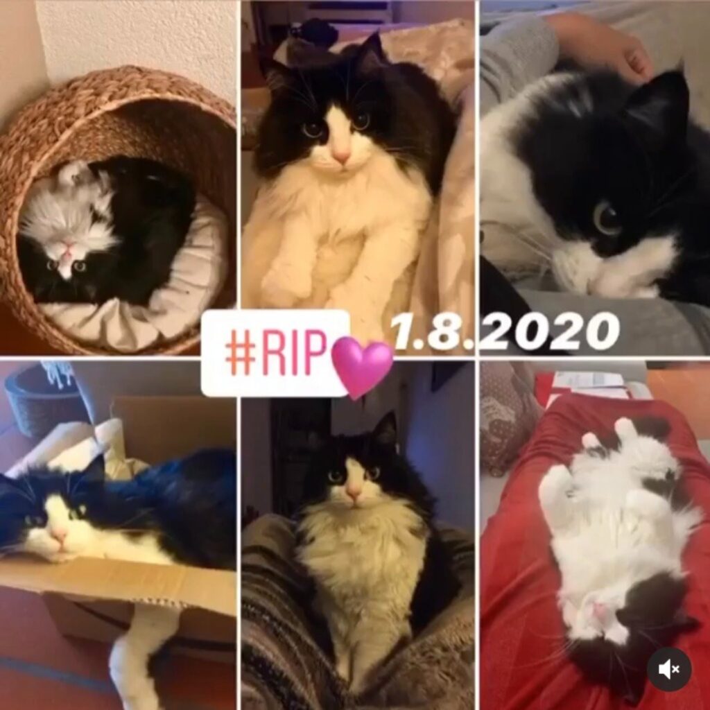 321FED88 47BE 45F1 B6D8 7550F92A7E2D