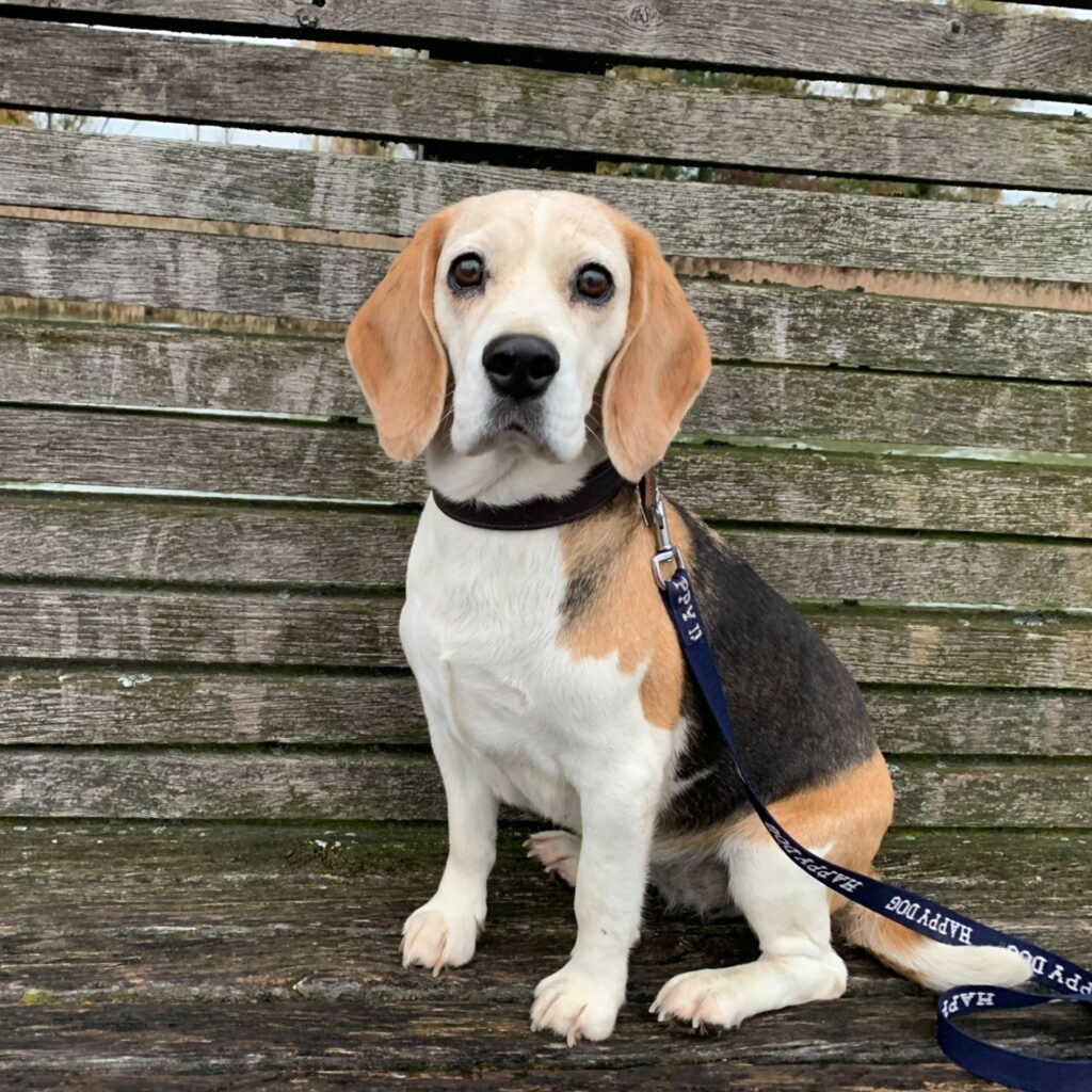 3585112B CE74 4054 99AA 69AD594C827A