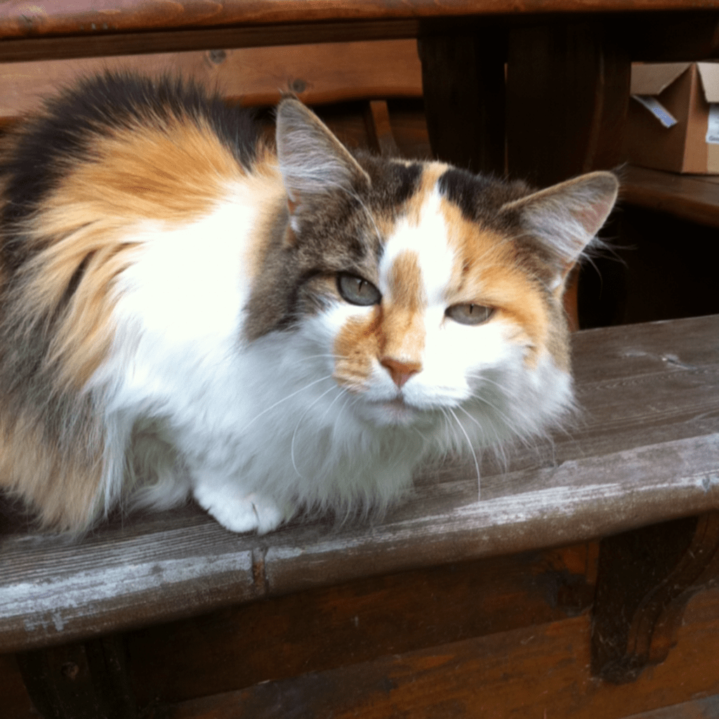 3720DAE5 0FC6 4576 A5BA DC909D392A84