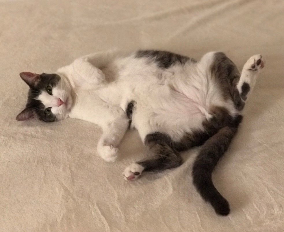 37422BE8 E4B4 406F A8EB BDCD19B77FD4