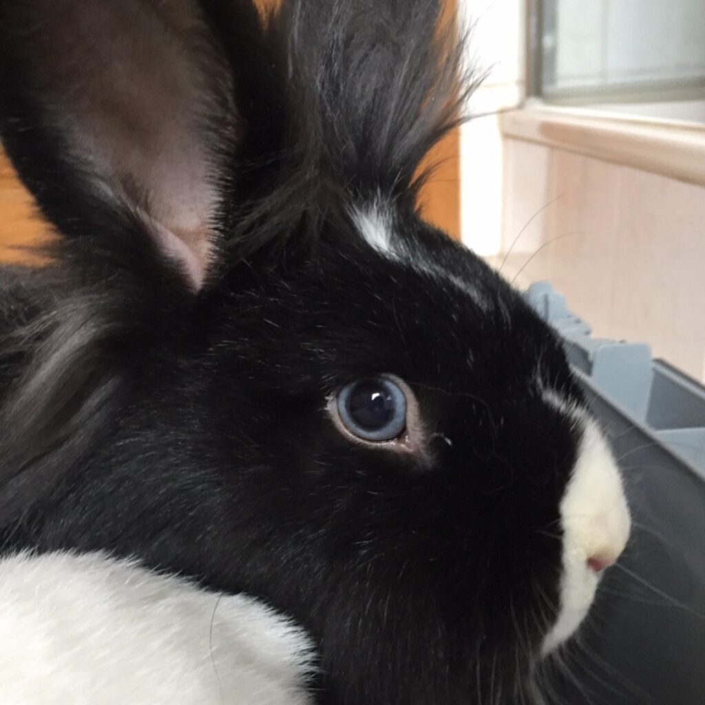 38B5C719 AFAC 4352 B1C3 354D96AA3607