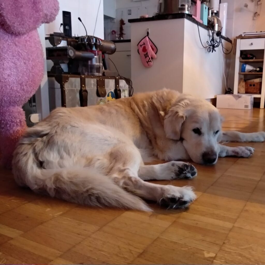 3A52FD2A DEF9 4CF1 9202 3865E49F73F2