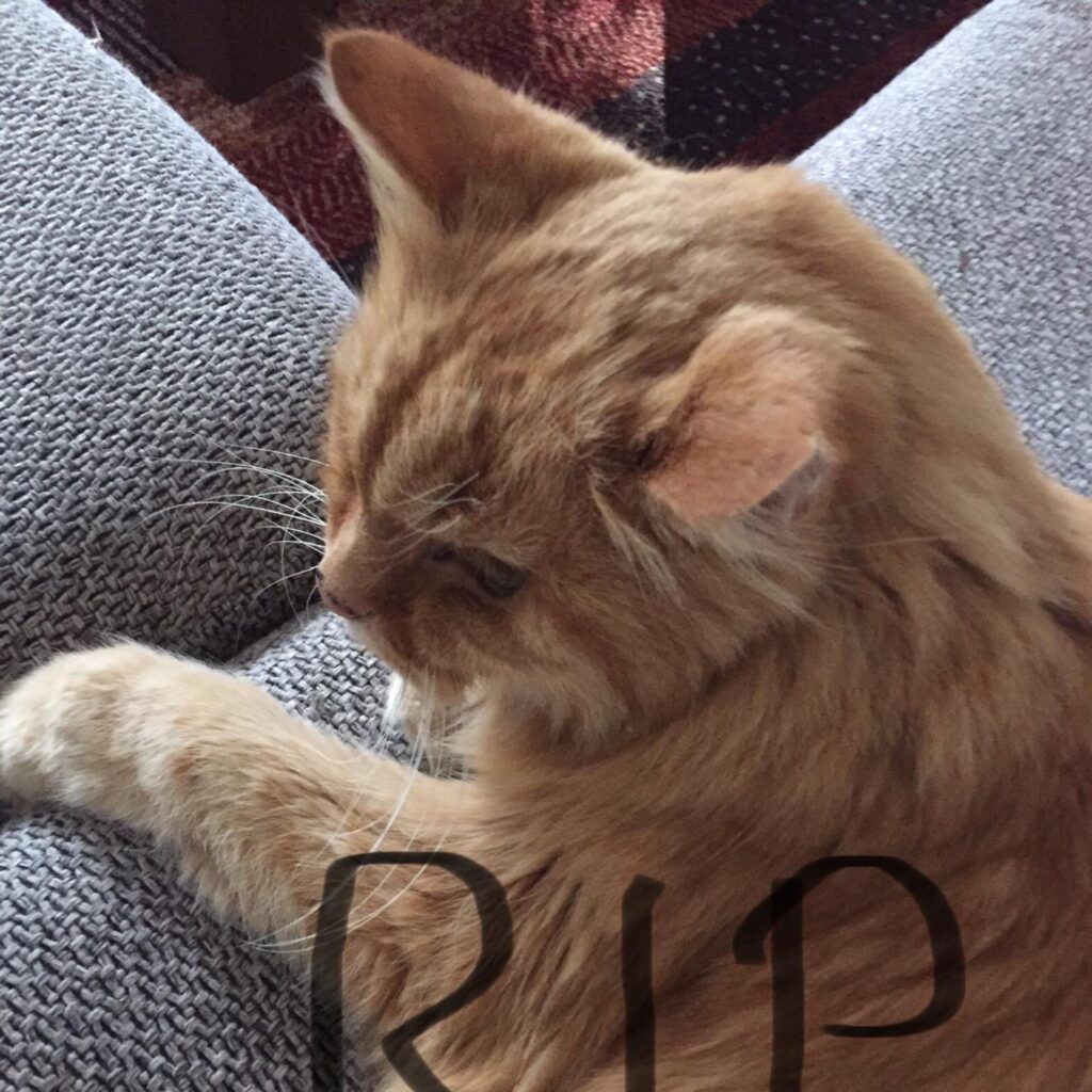 3A6A8F21 AAA2 4CEB 8524 F607D40C4B83