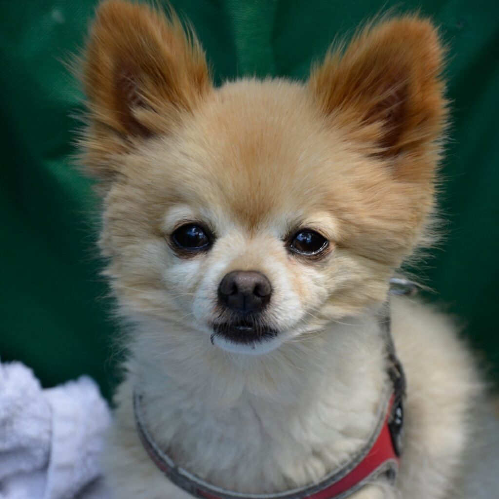 3A75A5E0 6FB6 4F59 9125 A1C0B26E4F34