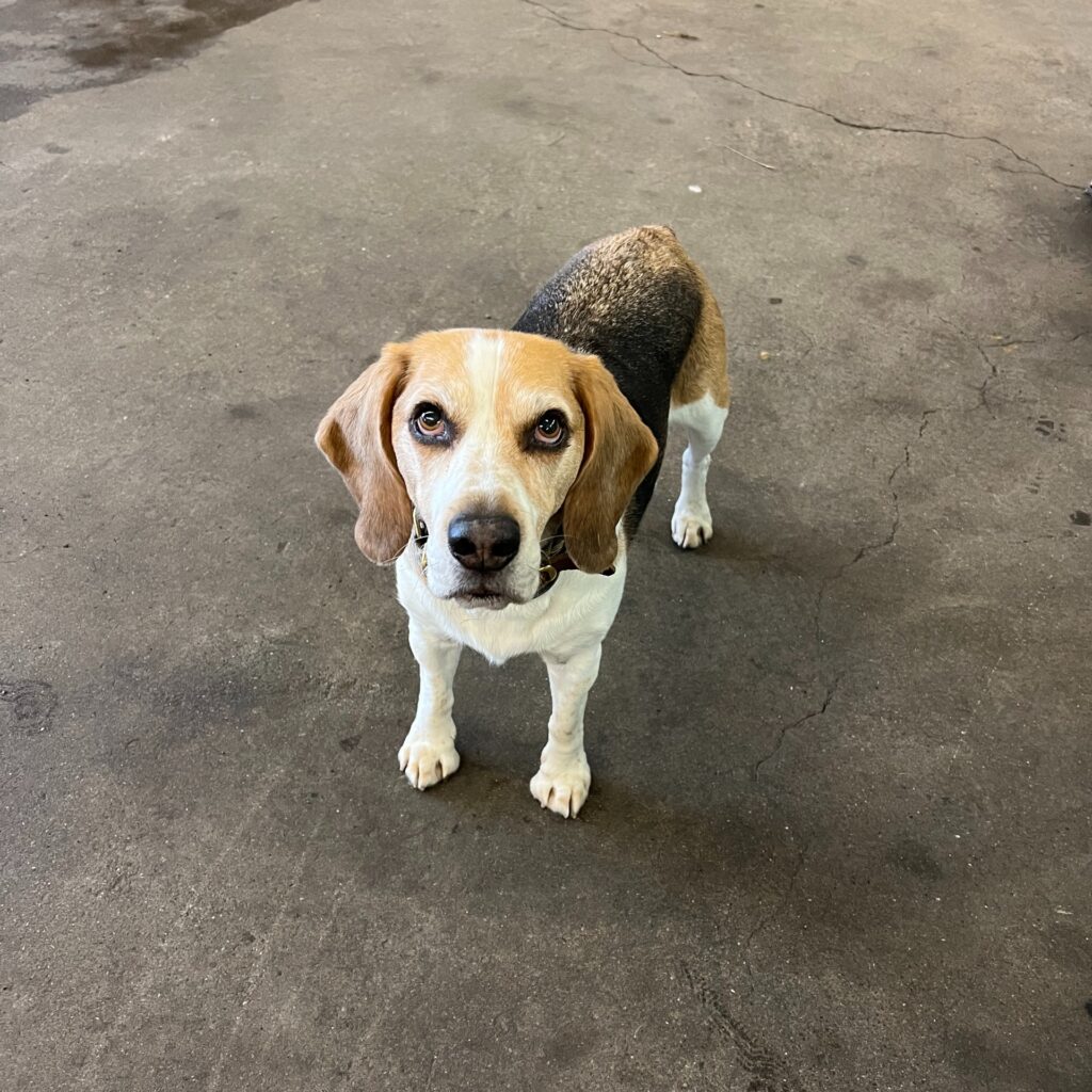 3DE8A8E9 57B1 4372 ACCB 9BBA67484F08