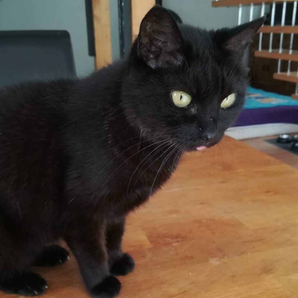 40B3FC9C 7696 4CCD 9A65 5BCA5BAEB440