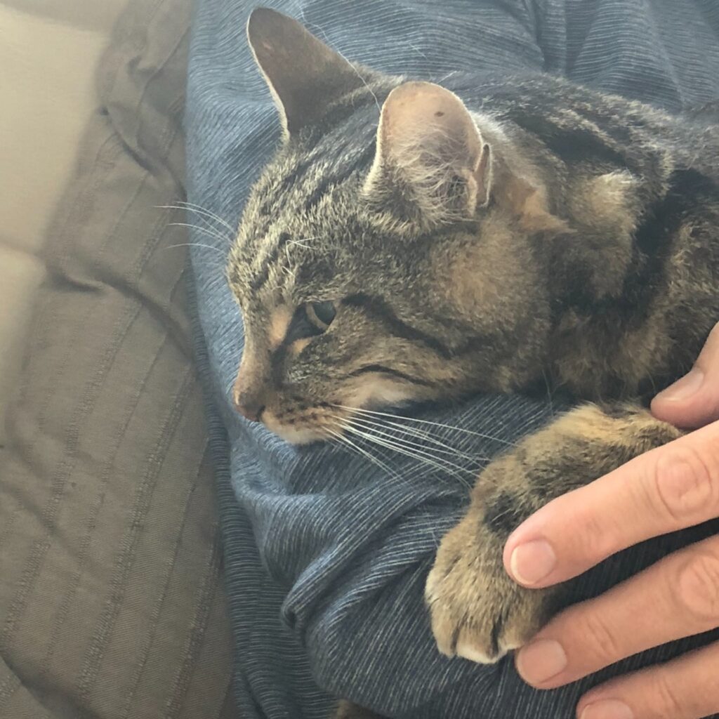 440358AB 45C5 4EC1 B044 371651E8D671