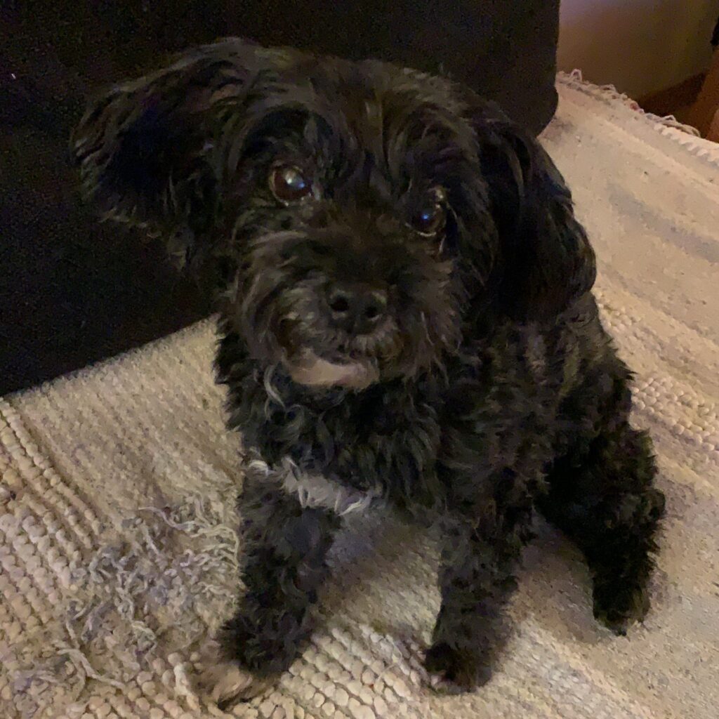 46AC1107 3AD5 4B8E B46D C4CA3C48C547