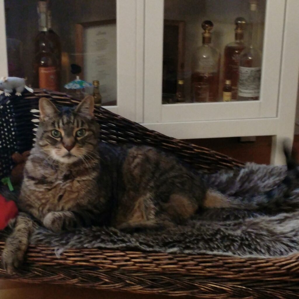 476BC487 1A3B 4A12 BC7F 68561815014E