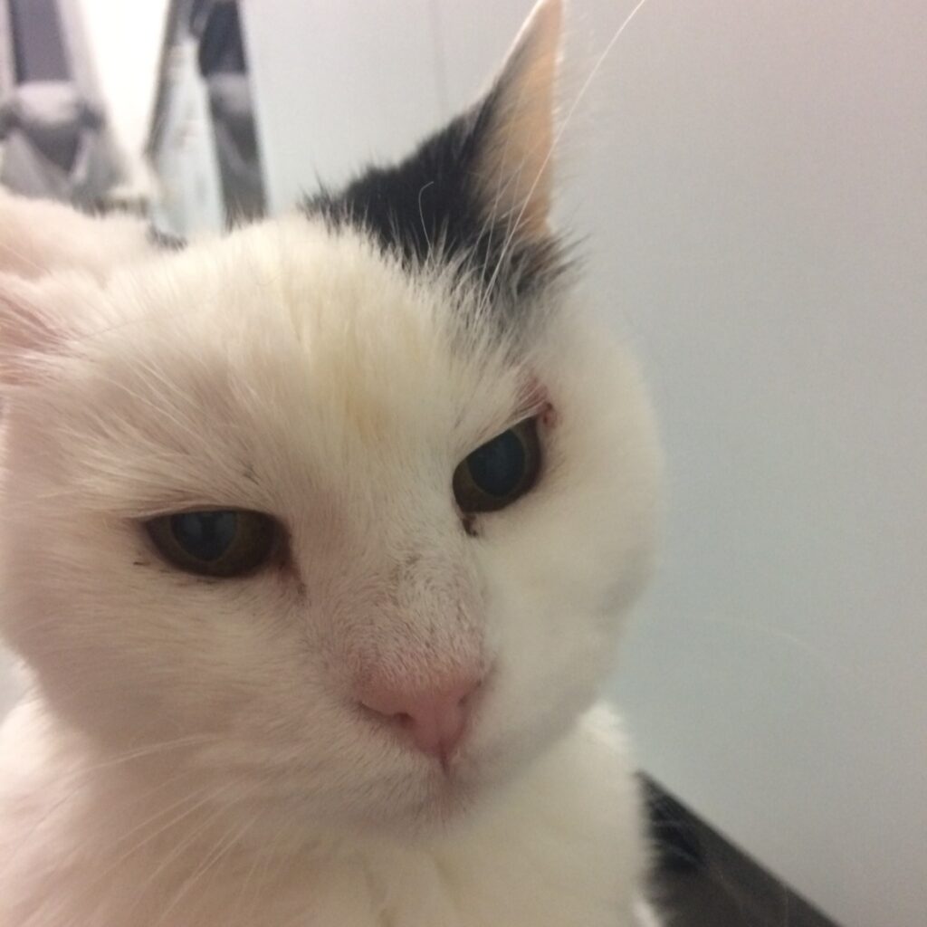 4B1F49E5 4F99 4C10 B8AB 907AF0DD753B