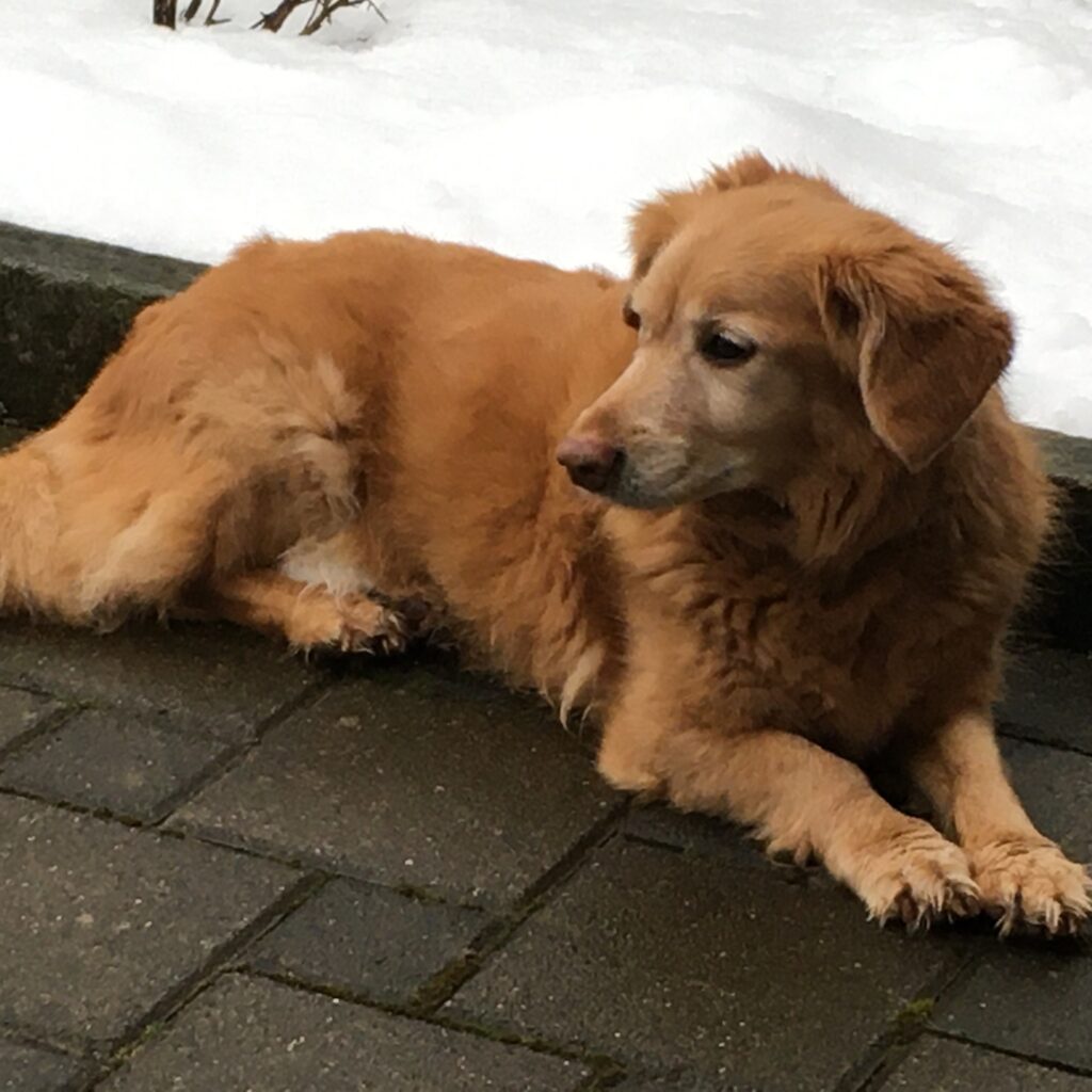 5BE13216 302F 483A 9C34 F1D9BE3D70B4