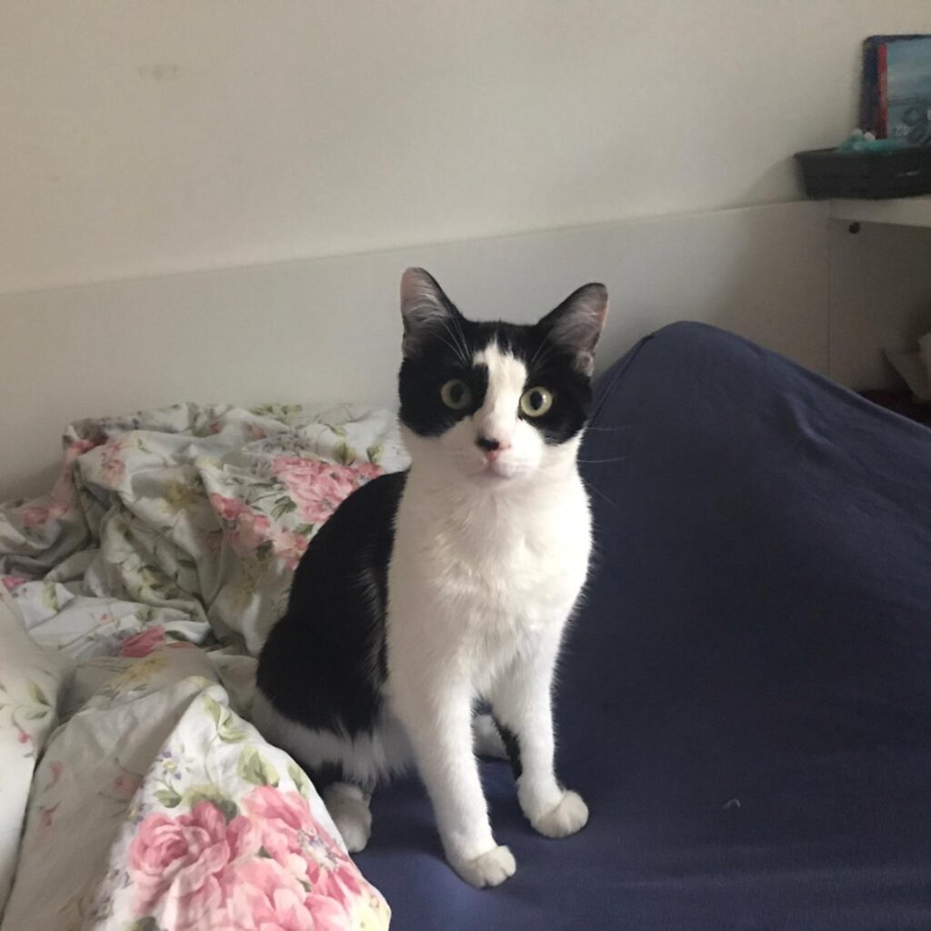 639462B5 5794 432A 942A BF6B0E337790