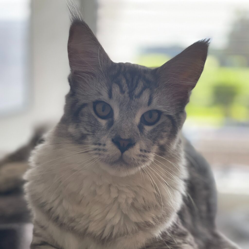 6478AB83 71E4 45AA BD1E D8C2C4F445E7