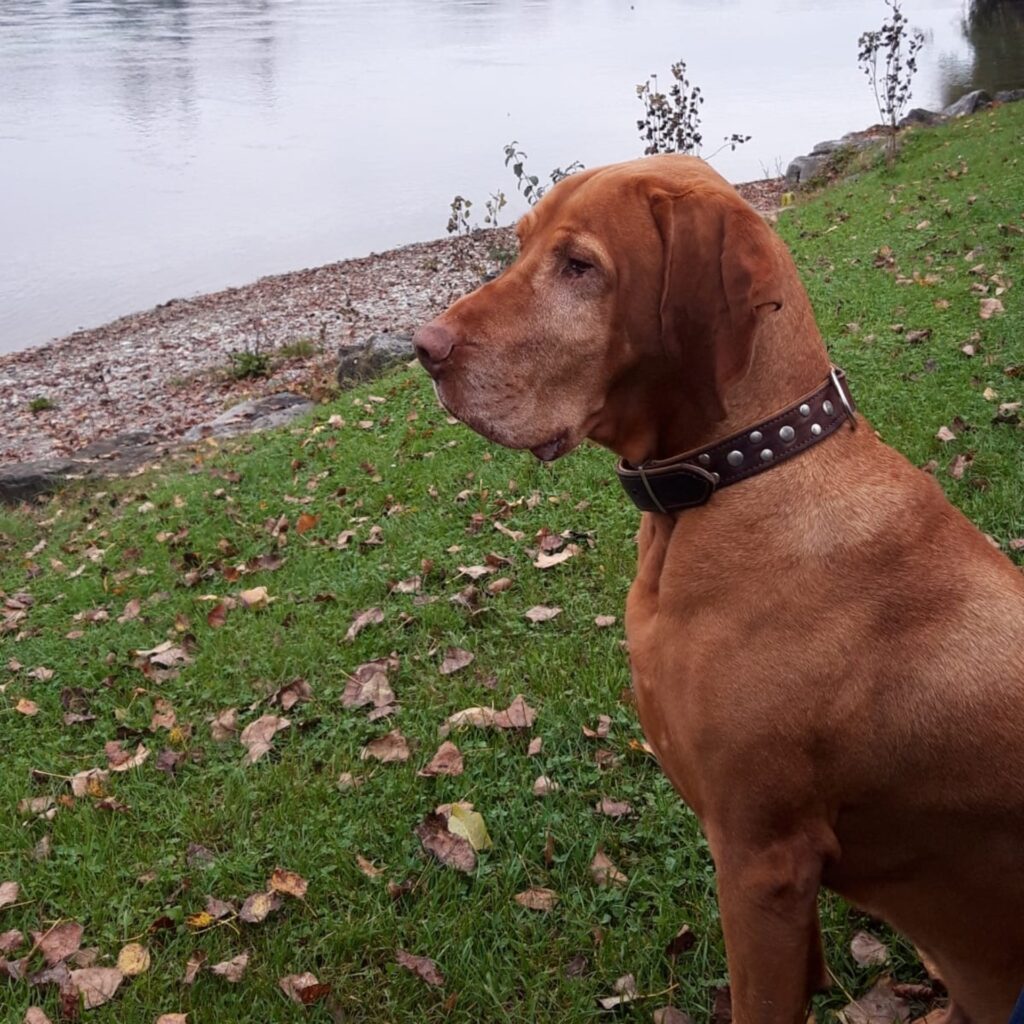 69CE220A 4B56 4B4B 9ADC 92DB107CC13C