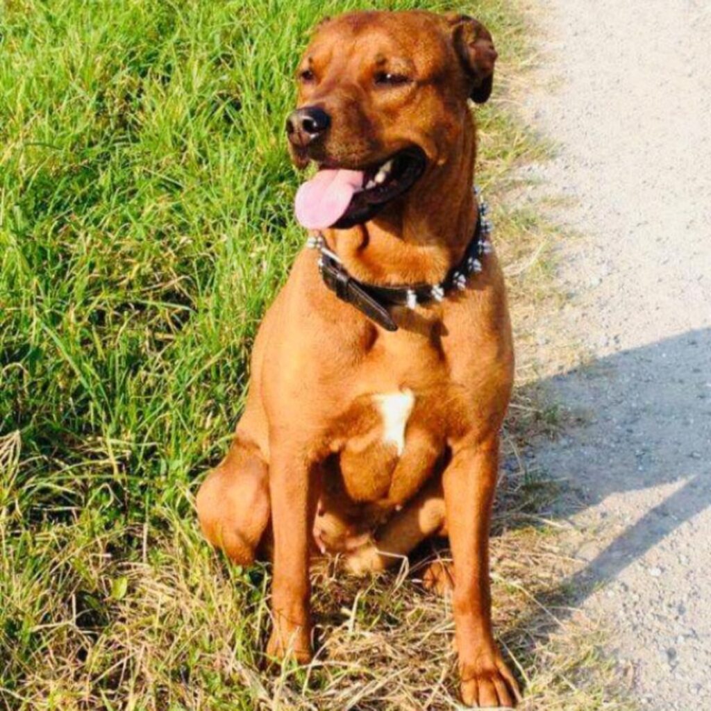 69F65681 931C 4B50 ACAD F6778F5C4C2B