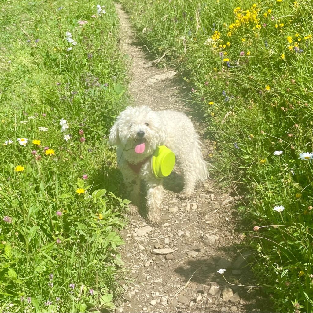 6BA7FE23 C284 4C48 B393 21056FD084F3