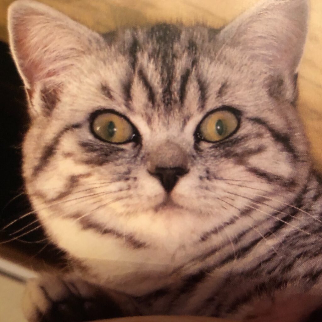 6BBC806C D930 4440 92ED 820E60BFFE2D