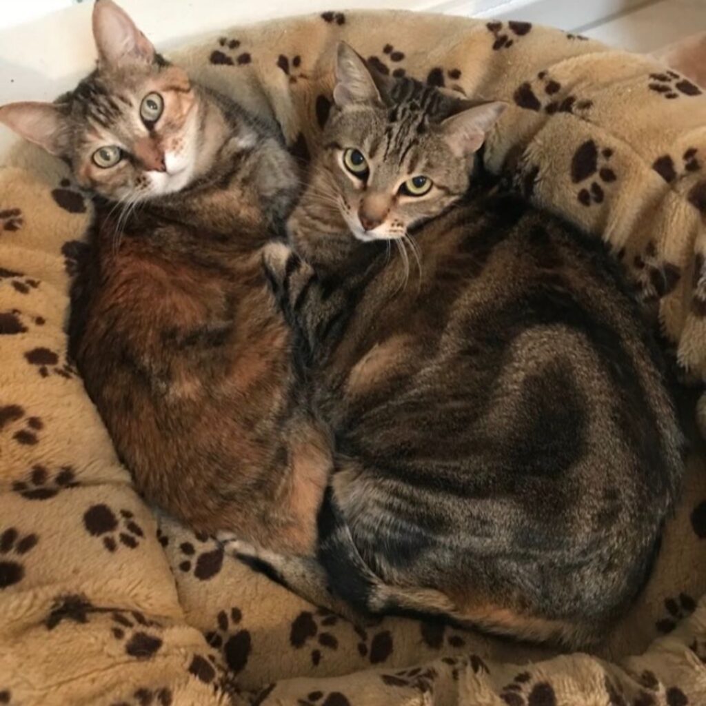 7022C587 BD9E 4A54 A4F9 E35A67B1D130