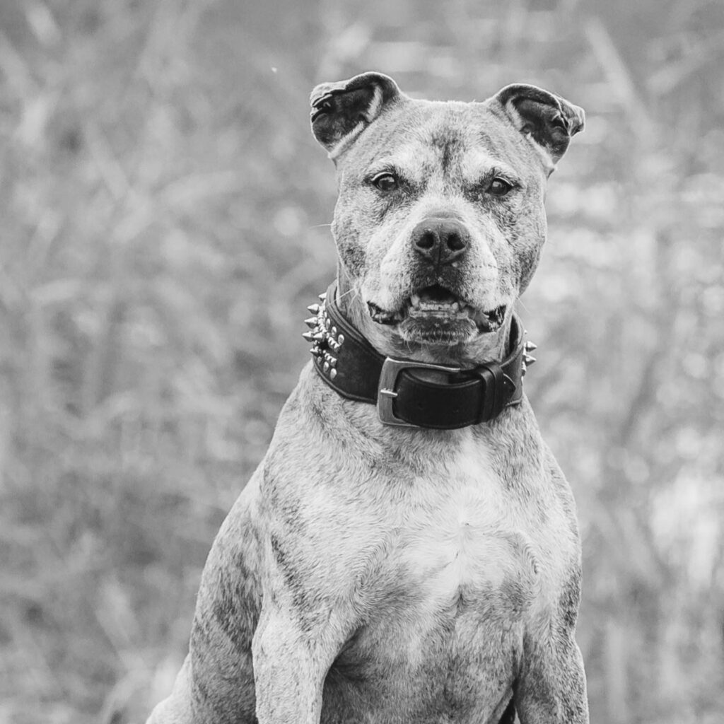 73851158 C4C8 4FFB 84CD 260A069DB8AF