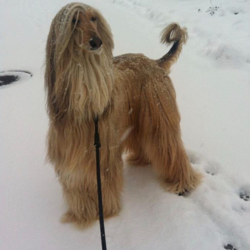 7510051A 0841 4511 967F D35CF1137192