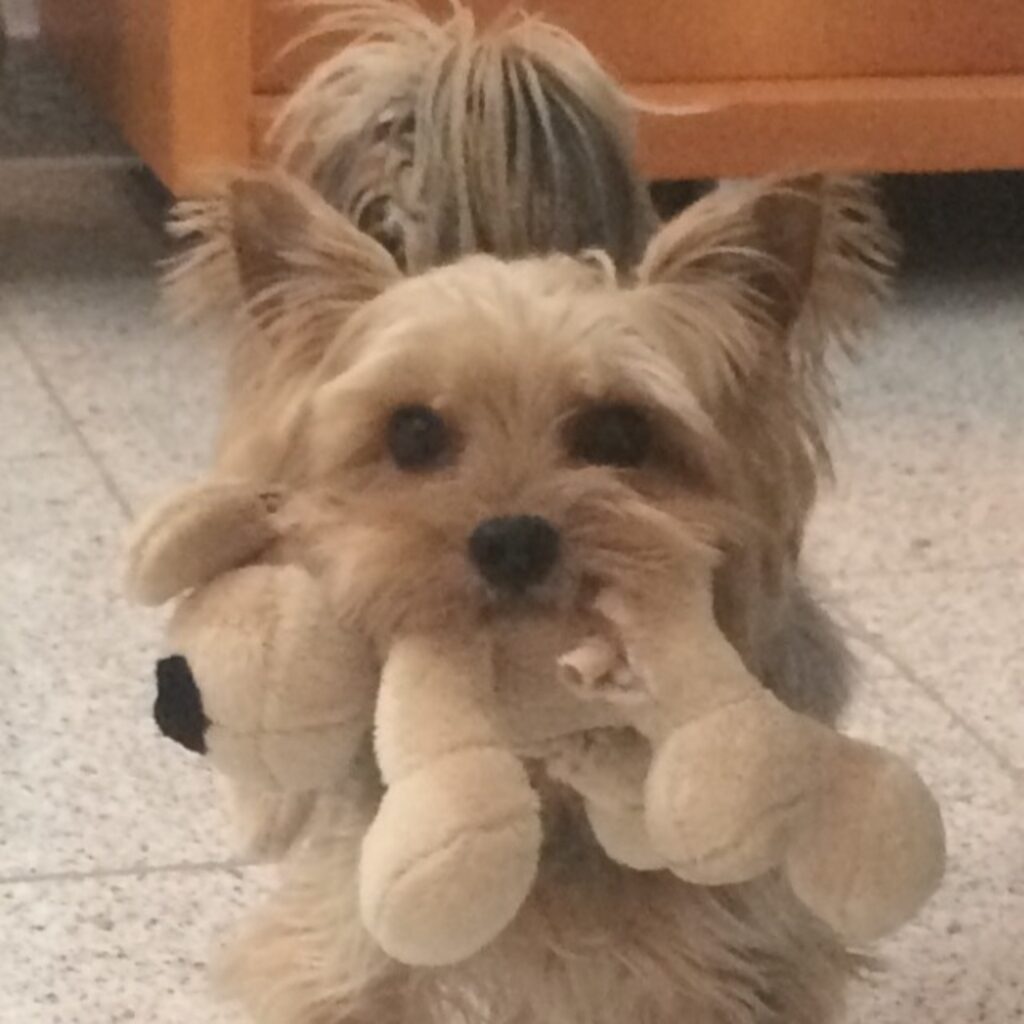 789CC060 F946 4218 B840 1C492E492465