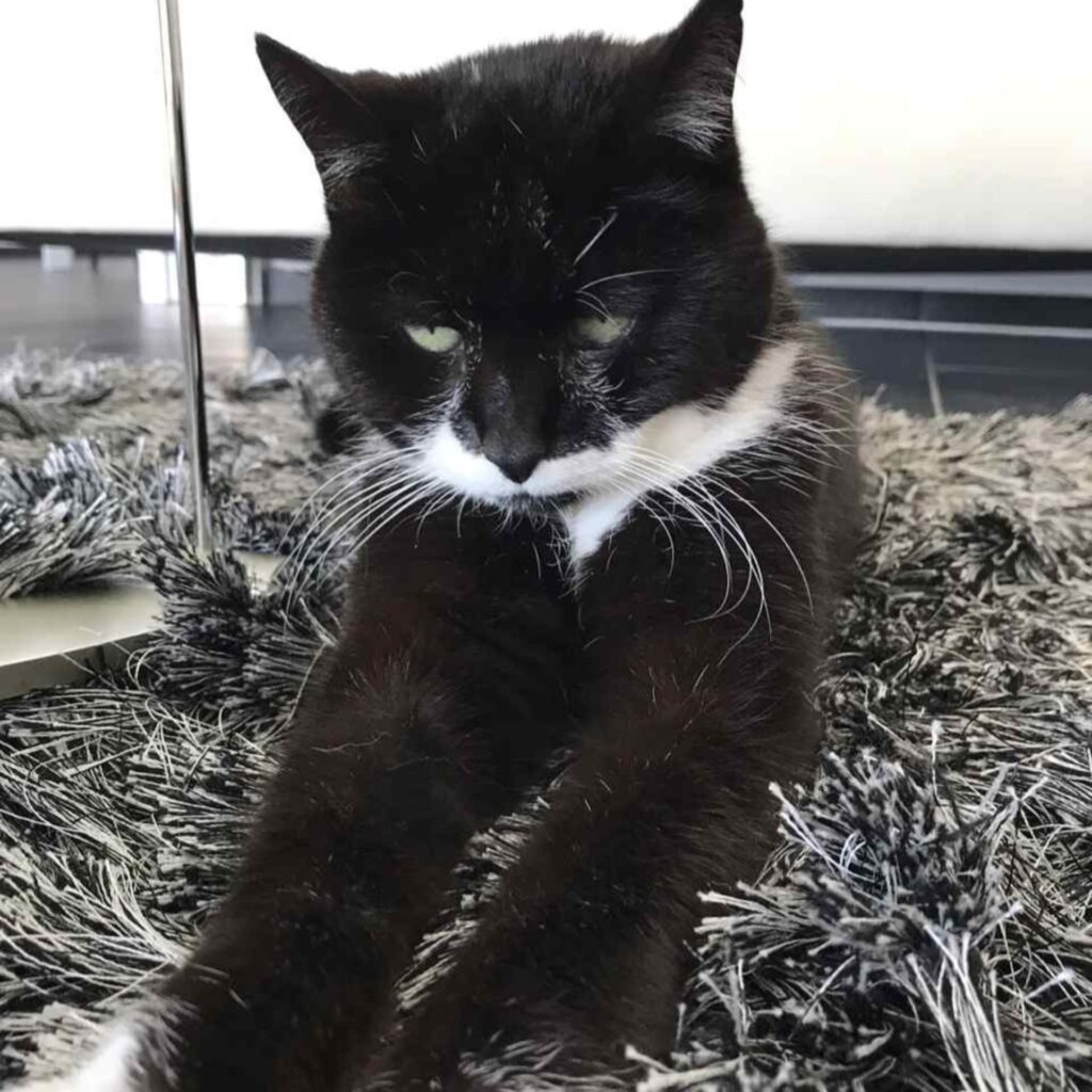 7C591BA4 EA69 4745 8A36 1EE3F58B65B4