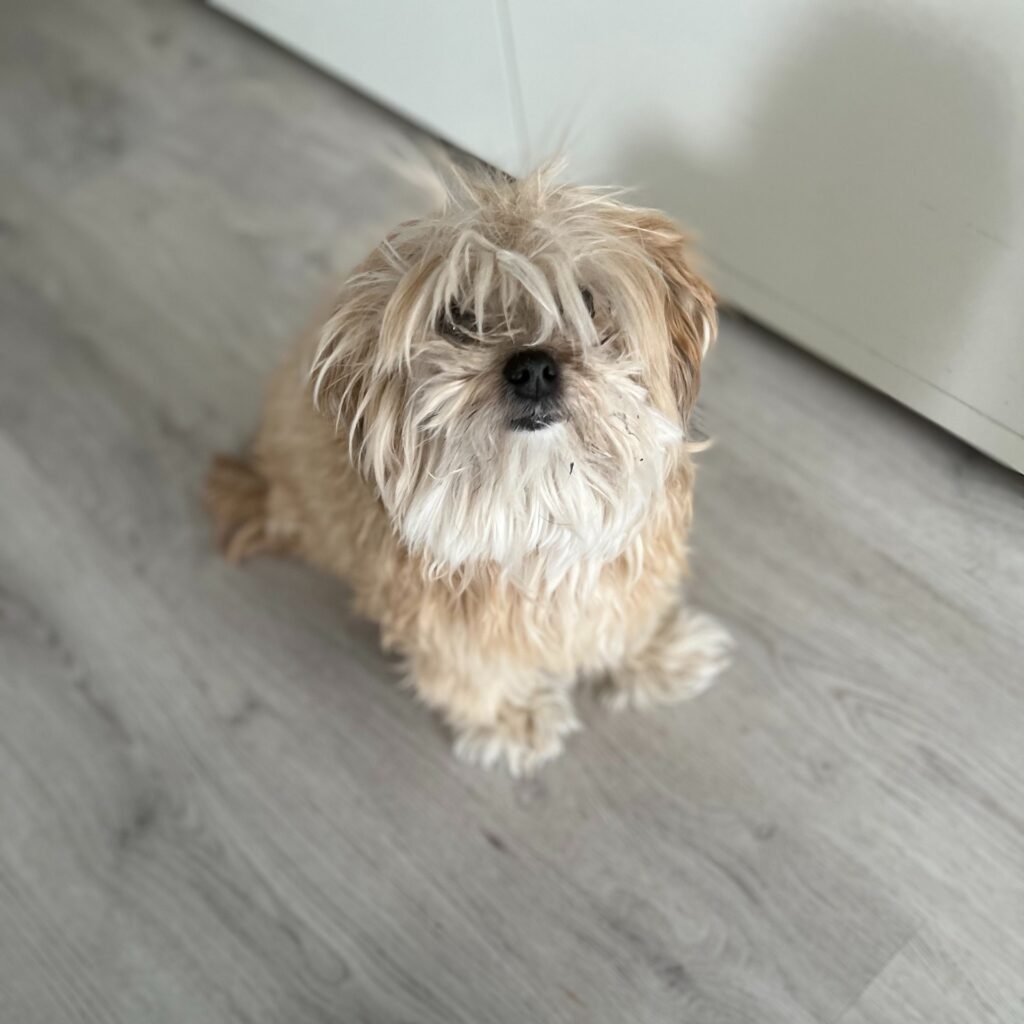 84212337 5433 4734 AA06 22EC272D5483