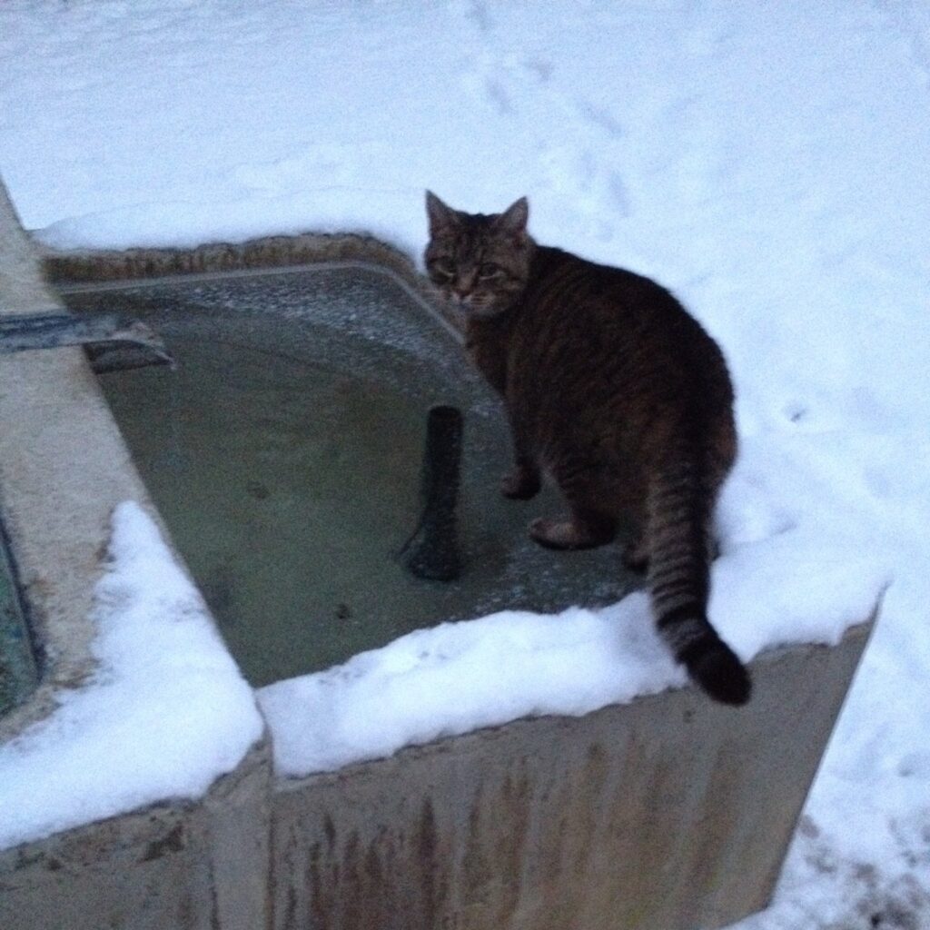 8B45FD38 803E 40EC ACDE 645CCA4BFB4F