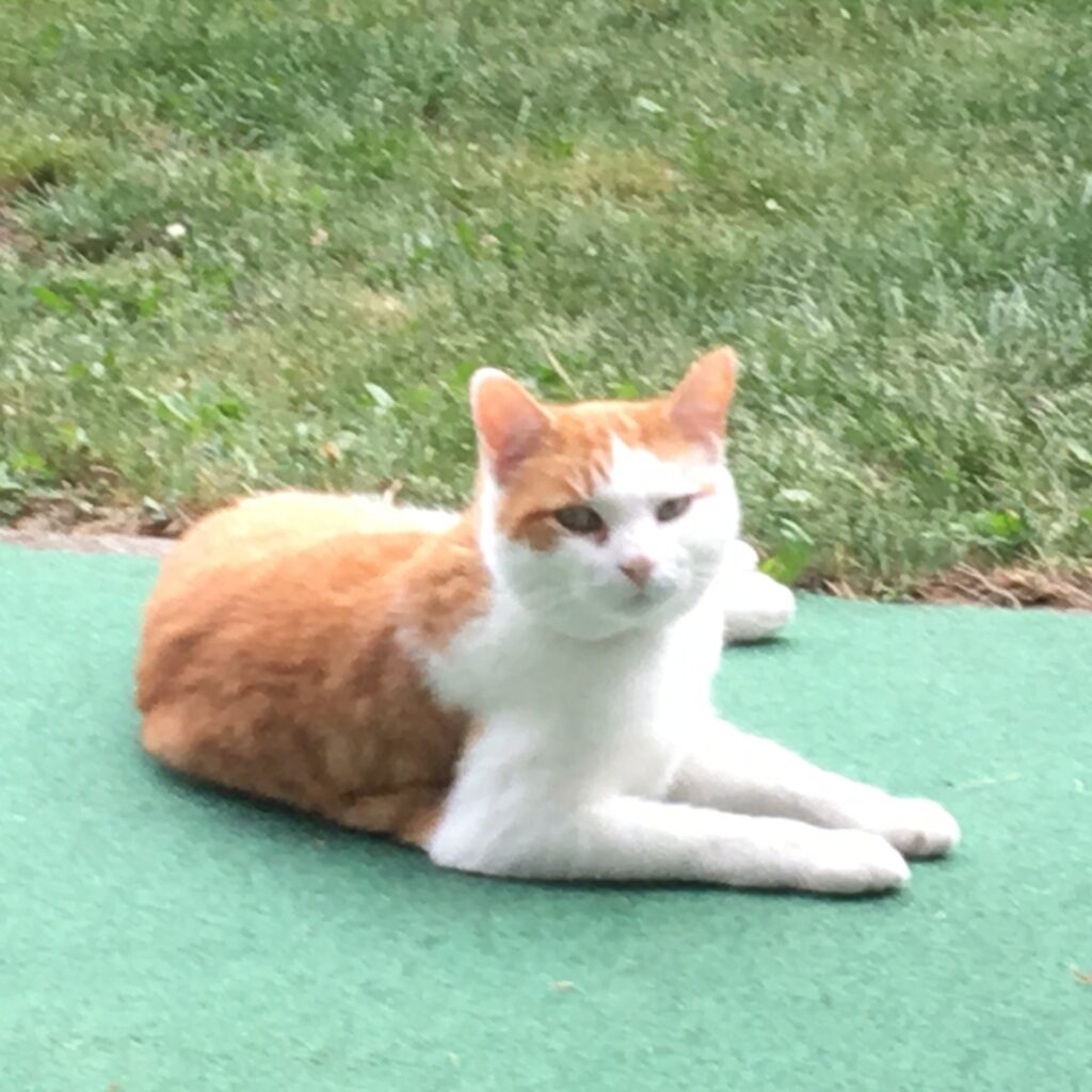 90A51DA1 6B30 4000 B2ED 61D92B4BE43C