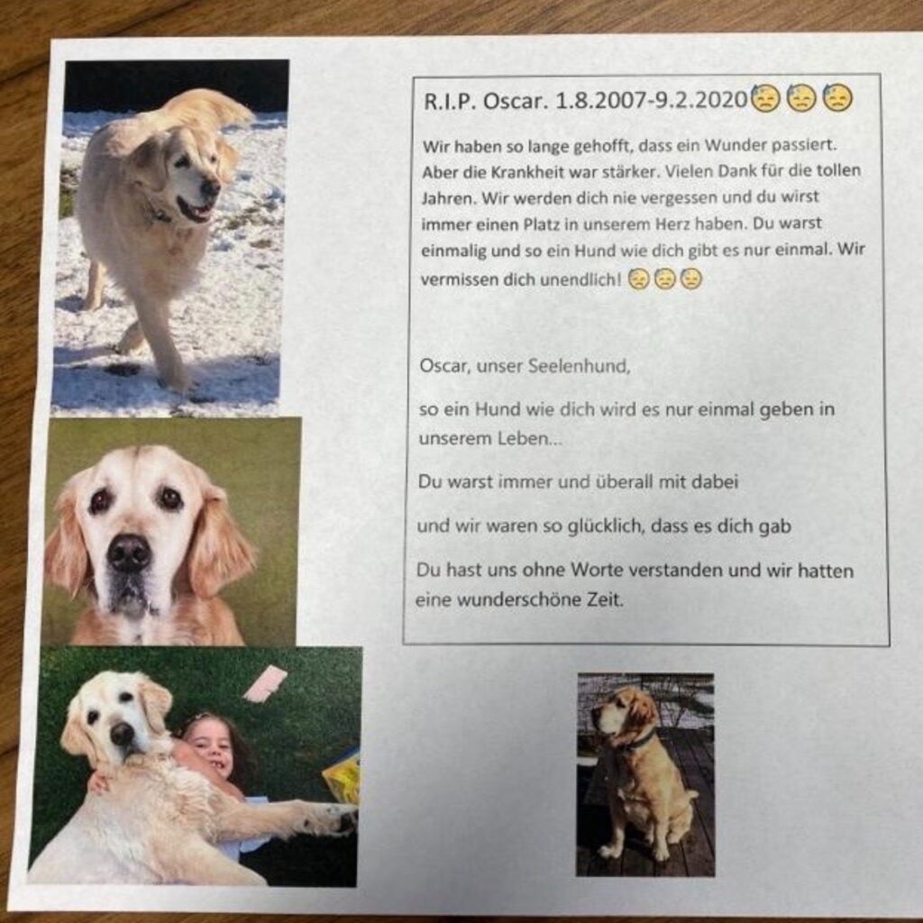 91d9b5bf 0353 4fa3 a1a0 f596af3e5eaa