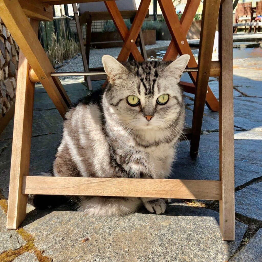 924BA750 9A4A 49A2 B66E FECB11F85540