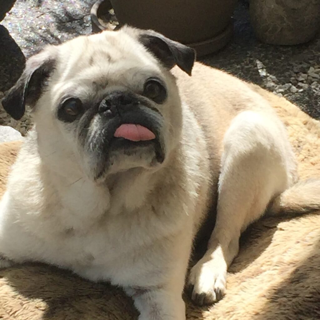 9613E16B AB9D 4784 B179 7F2CD6ACDF28