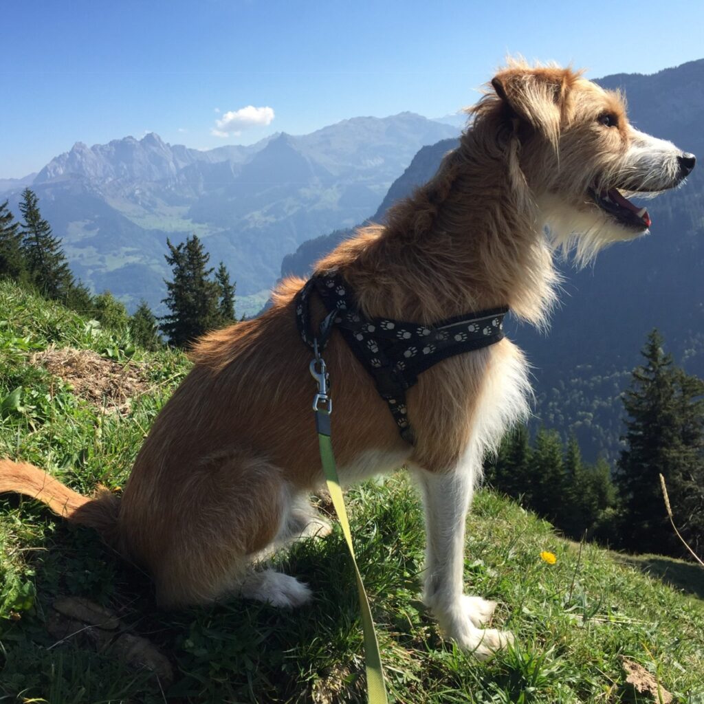 962F5CEF 7524 4724 BAFB 7ABC604A07EF