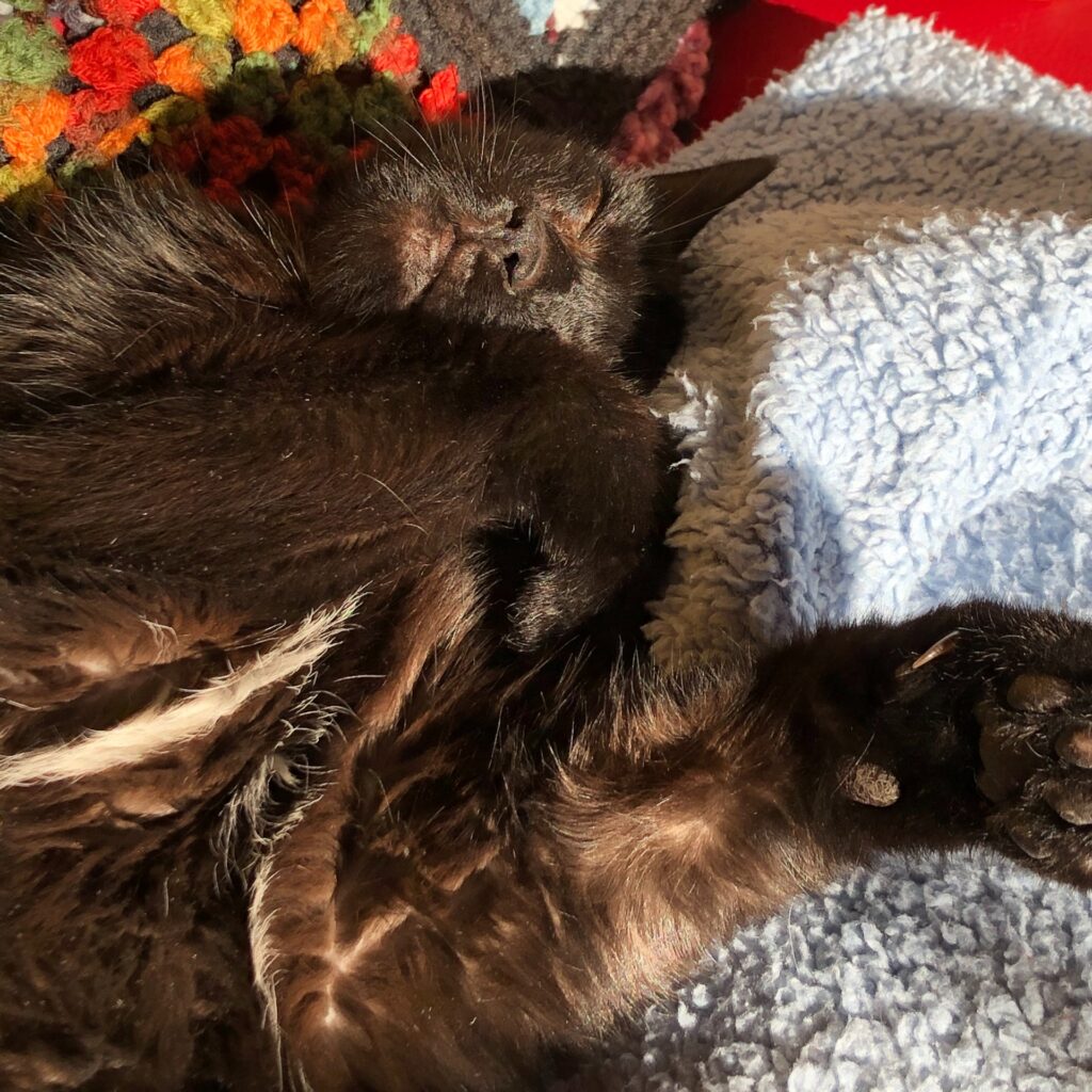 96B96CC3 11D7 4BEB 89D4 3143FC4F6110