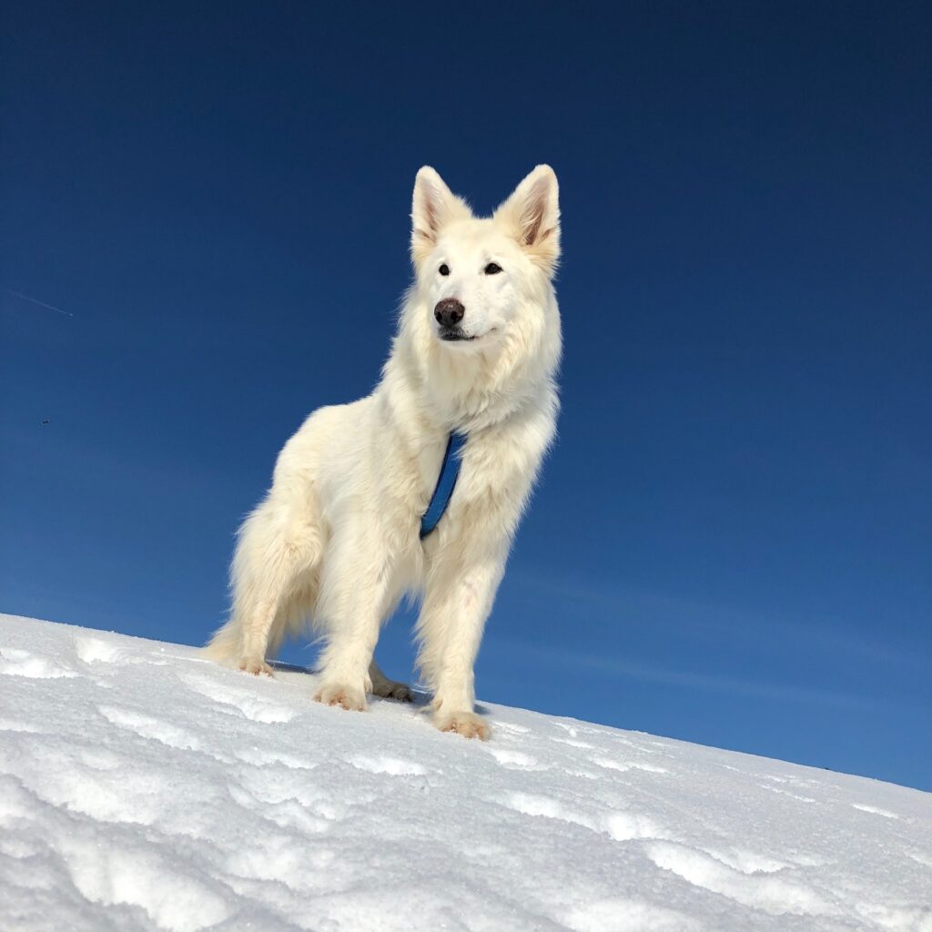 9775B1F5 487B 4AD3 A13B C4E185A84666