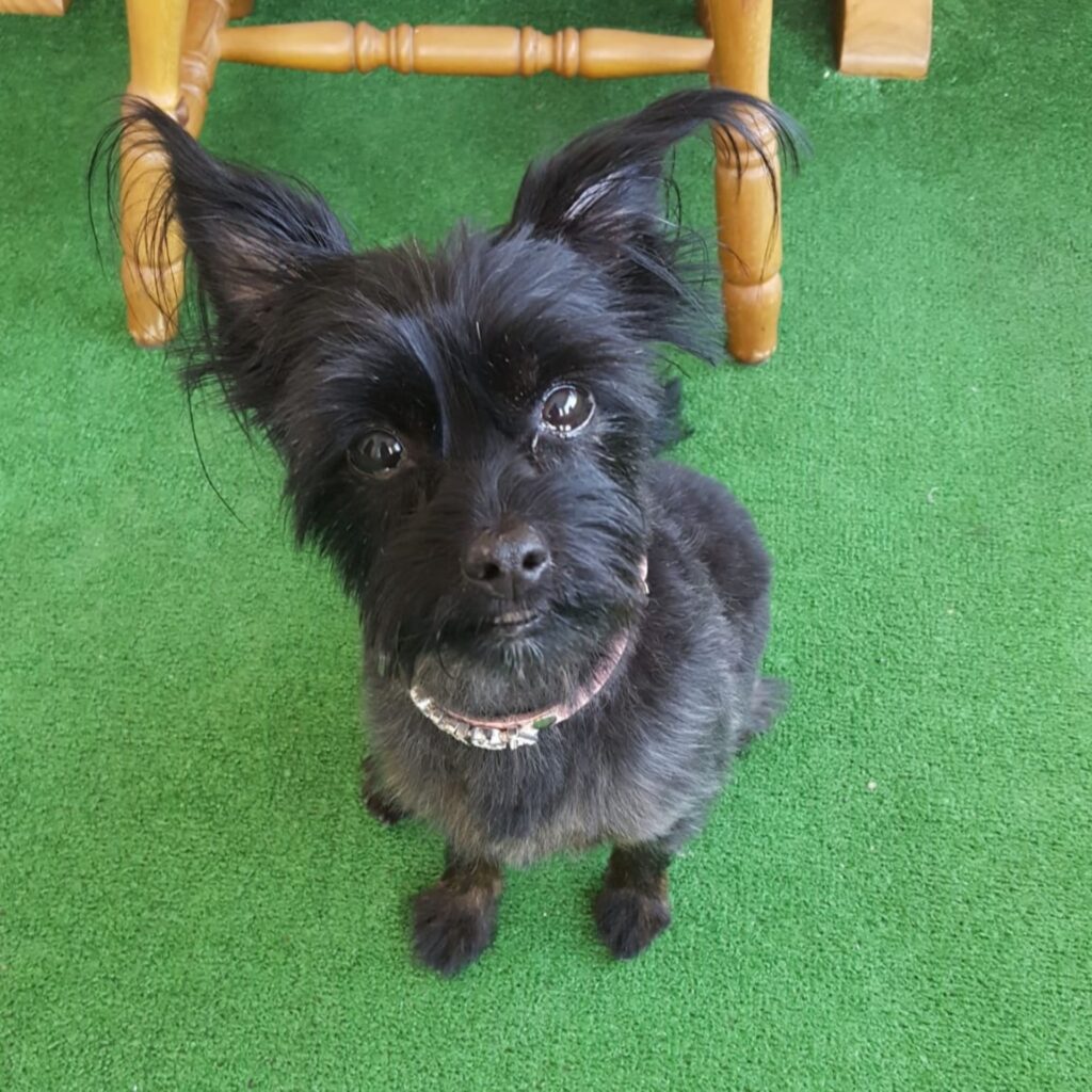 9908B35B 91BD 4A15 9C85 02B57C018552